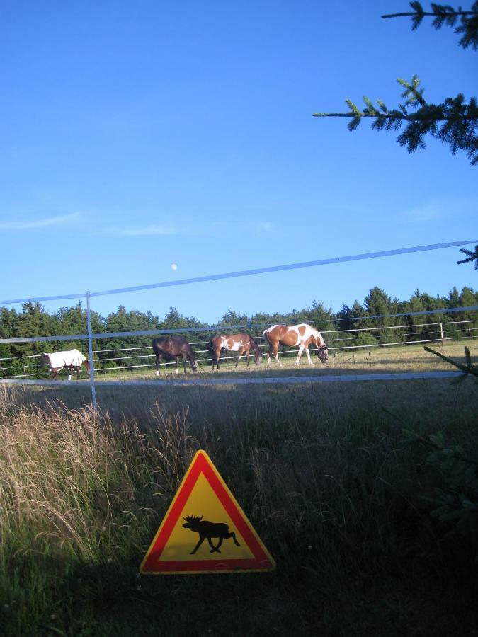 Romantikmuehle Heartlandranch Krummenau Buitenkant foto